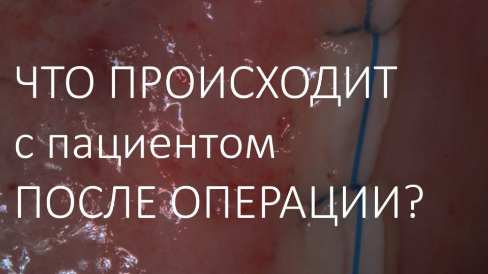 инста