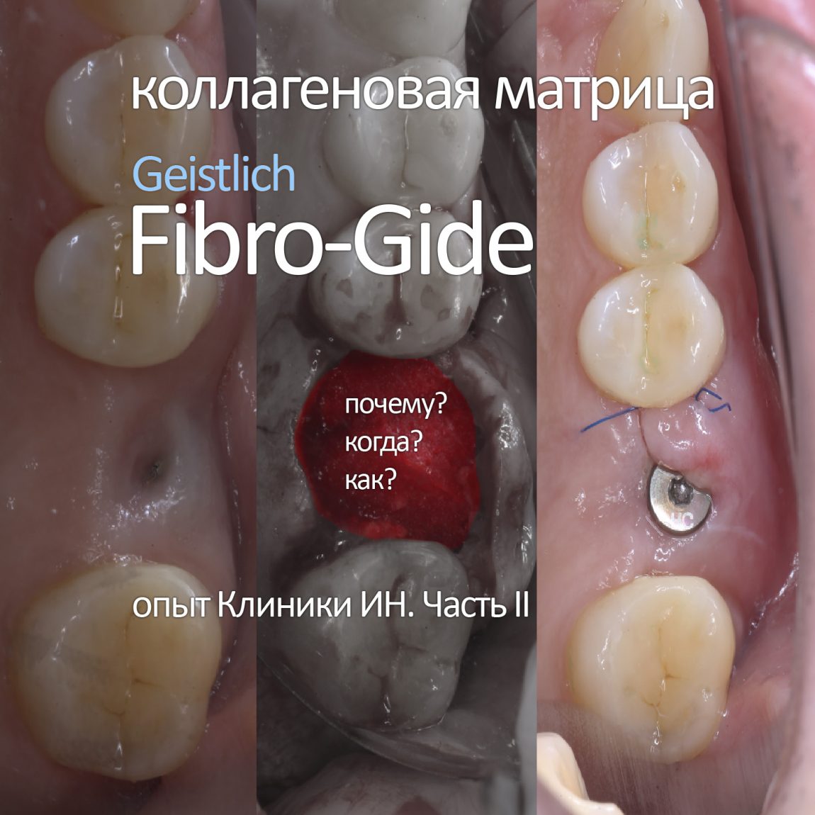 CLINICIN.RU — Уютная КЛИНИКА ИН